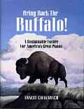 Bring Back The Buffalo A Sustainable Fut