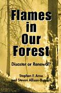 Flames In Our Forest Disaster Or Renewal