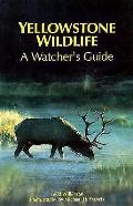 Yellowstone Wildlife A Watchers Guide