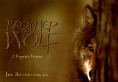 Brother Wolf A Forgotten Promise