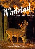 Way Of The Whitetail Magic & Mystery