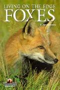 Foxes Living On The Edge R