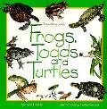 Frogs Toads & Turtles