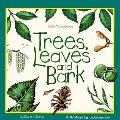 Trees Leaves & Bark