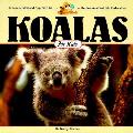 Koalas For Kids