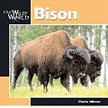 Bison Our Wild World
