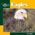Eagles Our Wild World