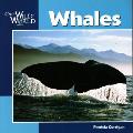 Whales Our Wild World