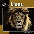 Our Wild World Lions
