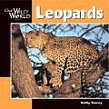 Our Wild World Leopards