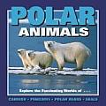 Polar Animals Explore the Fascinating World