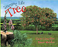Starting Life Tree