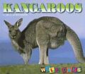 Kangaroos Wild Ones