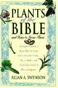 Plants Of The Bible & How To Grow Them
