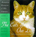 Cats Of Our Lives