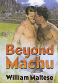Beyond Machu A Novel
