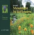 Idaho Mountain Wildflowers A Photographic Compendium