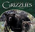 Lives of Grizzlies: Alaska