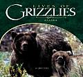 Lives Of Grizzlies Alaska