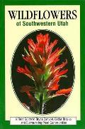 Wildflowers Of Southwestern Utah A Field Guide To