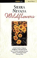 Sierra Nevada Wildflowers Field Guide To Common