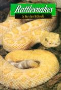 Rattlesnakes Animals & The Environment