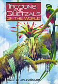 Trogons & Quetzals Of The World