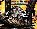 About Mammals A Guide For Children