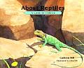 About Reptiles A Guide For Children