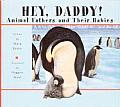 Hey, Daddy!: Animal Fathers and Their Babies