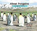 About Penguins A Guide For Children