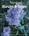 Shrubs & Trees