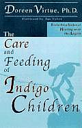 Care & Feeding Of Indigo Children