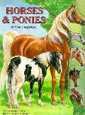 Horses & Ponies At Your Fingertips