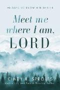 Meet Me Where I Am, Lord: 90 Days to Know Him Deeper