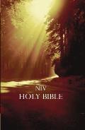 Bible NIV
