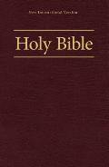 NIV Worship Bible