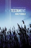 New Testament NIV Outreach