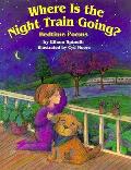 Where Is The Night Train Going Bedtime