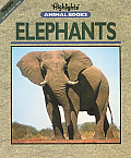 Elephants Highlights Animal Books