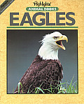 Eagles Highlights Animals Books