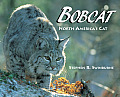 Bobcat North Americas Cat