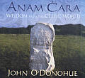 Anam Cara Wisdom From The Celtic World