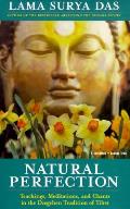 Natural Perfection Teachings Meditations