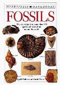 Fossils Eyewitness Handbook