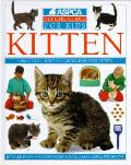 Kitten Aspca Pet Care For Kids