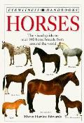 Horses Eyewitness Handbooks