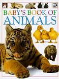 Babys Book Of Animals