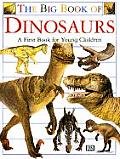 Big Book Of Dinosaurs A First Book For