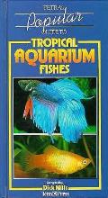 Popular Guide To Tropical Aquarium Fish